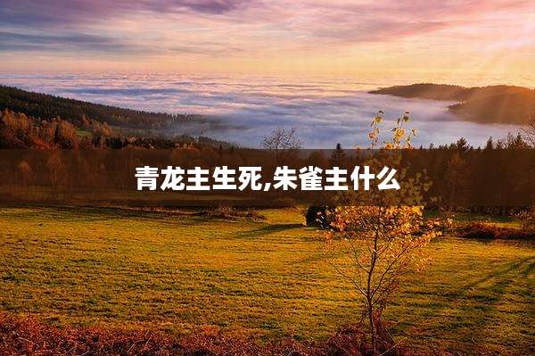 青龙主生死,朱雀主什么