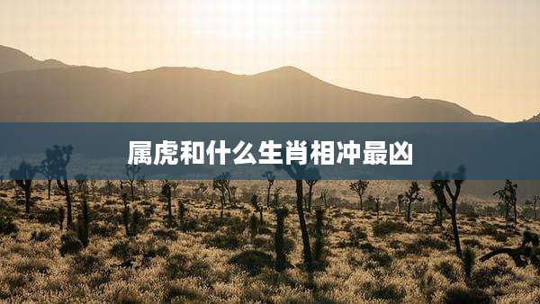 属虎和什么生肖相冲最凶
