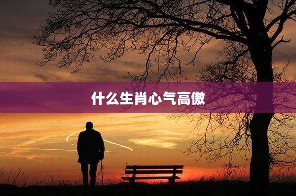 什么生肖心气高傲