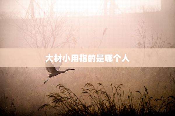 大材小用指的是哪个人