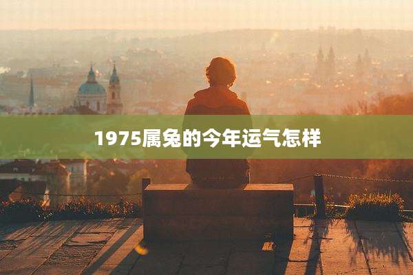 1975属兔的今年运气怎样