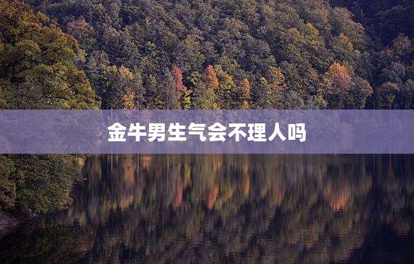 金牛男生气会不理人吗