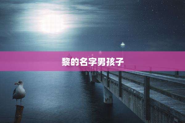 黎的名字男孩子