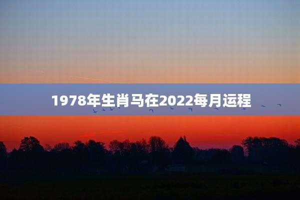 1978年生肖马在2022每月运程