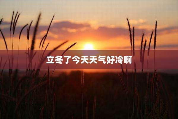 立冬了今天天气好冷啊