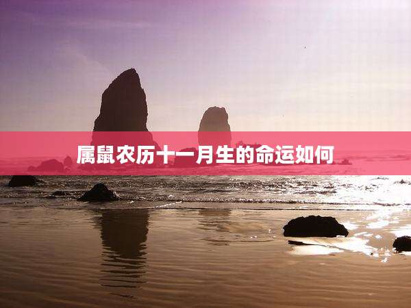 属鼠农历十一月生的命运如何