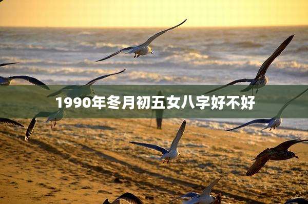 1990年冬月初五女八字好不好