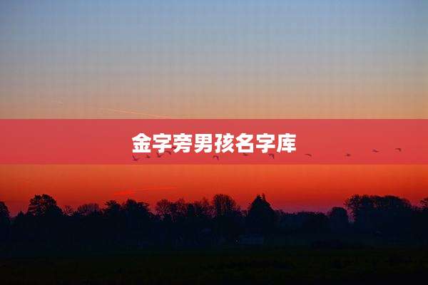 金字旁男孩名字库