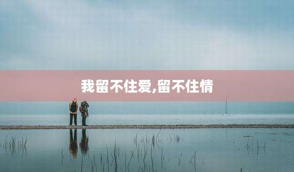 我留不住爱,留不住情