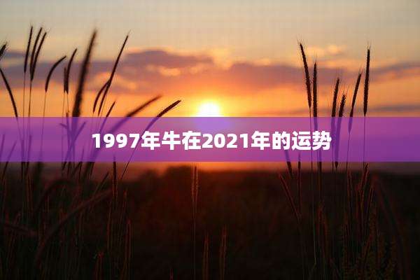 1997年牛在2021年的运势