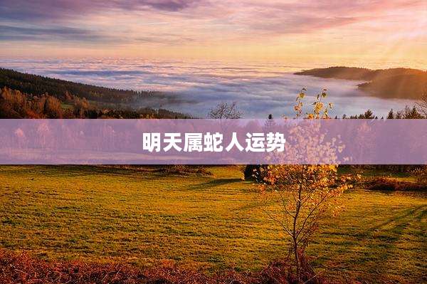 明天属蛇人运势