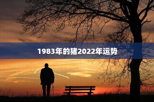 1983年的猪2022年运势