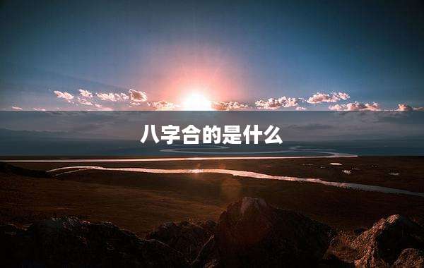 八字合的是什么