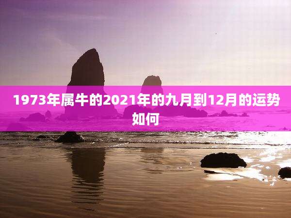 1973年属牛的2021年的九月到12月的运势如何