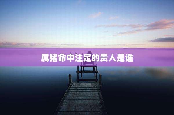 属猪命中注定的贵人是谁