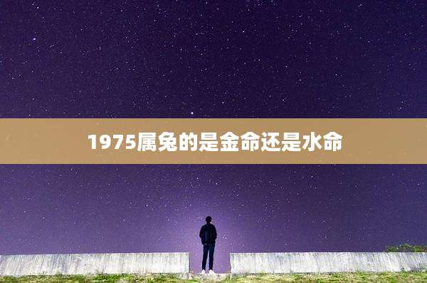 1975属兔的是金命还是水命