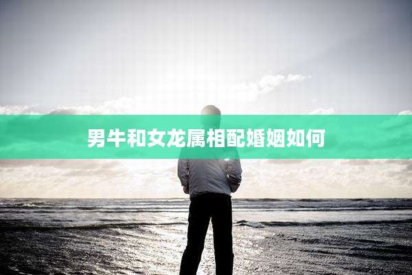 男牛和女龙属相配婚姻如何