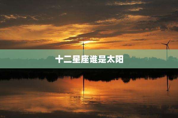 十二星座谁是太阳