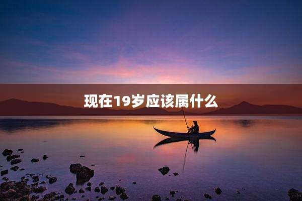 现在19岁应该属什么