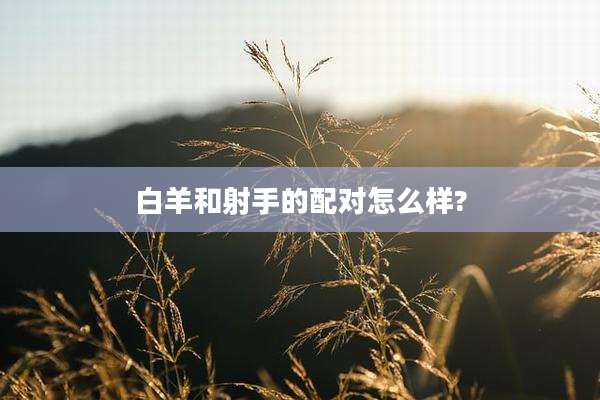 白羊和射手的配对怎么样?