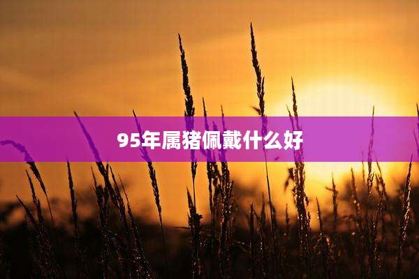 95年属猪佩戴什么好