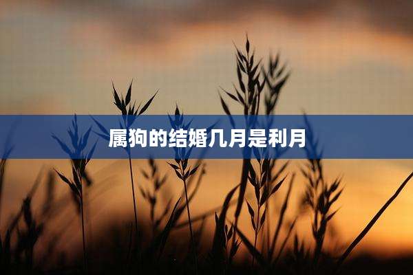 属狗的结婚几月是利月