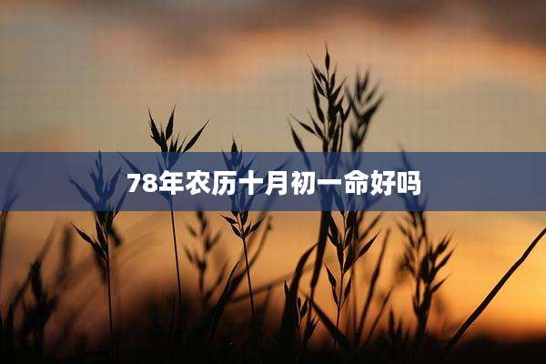 78年农历十月初一命好吗