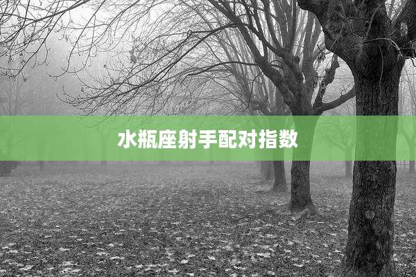水瓶座射手配对指数
