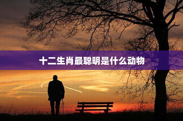 十二生肖最聪明是什么动物