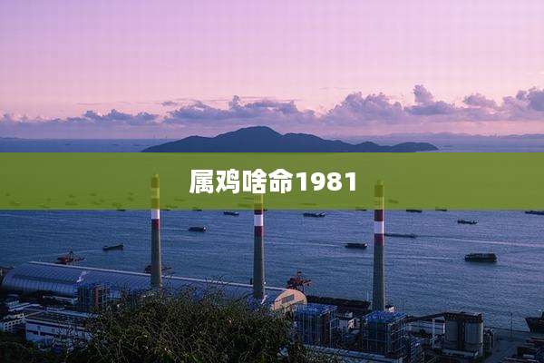属鸡啥命1981