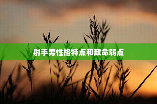 射手男性格特点和致命弱点