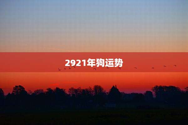 2921年狗运势