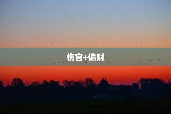 伤官+偏财