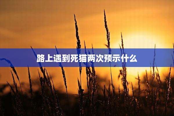 路上遇到死猫两次预示什么