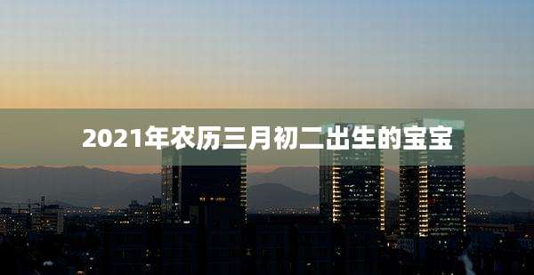 2021年农历三月初二出生的宝宝
