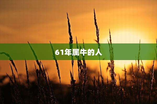 61年属牛的人