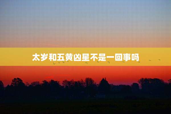 太岁和五黄凶星不是一回事吗
