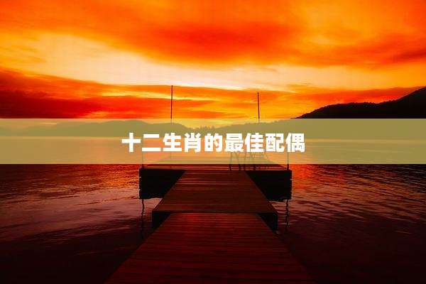 十二生肖的最佳配偶