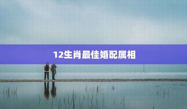 12生肖最佳婚配属相