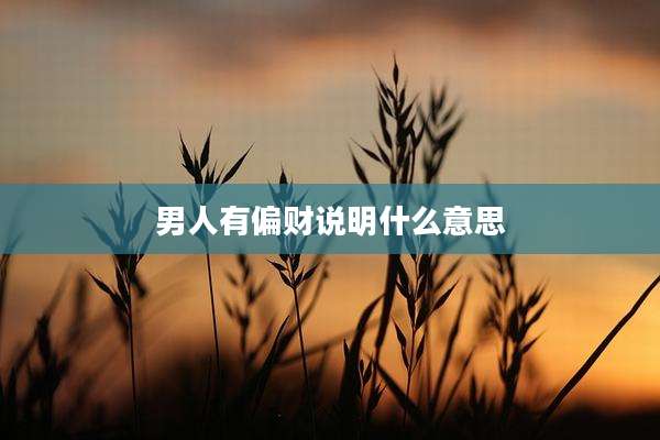 男人有偏财说明什么意思