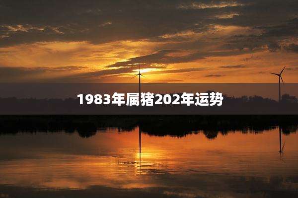 1983年属猪202年运势