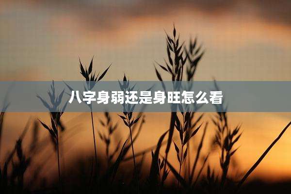 八字身弱还是身旺怎么看