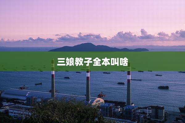 三娘教子全本叫啥
