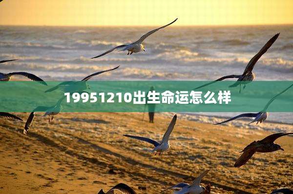 19951210出生命运怎么样