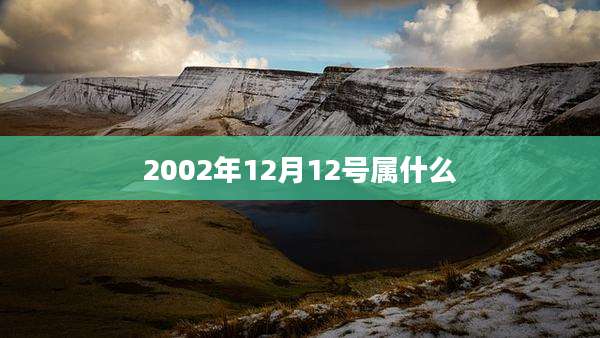 2002年12月12号属什么