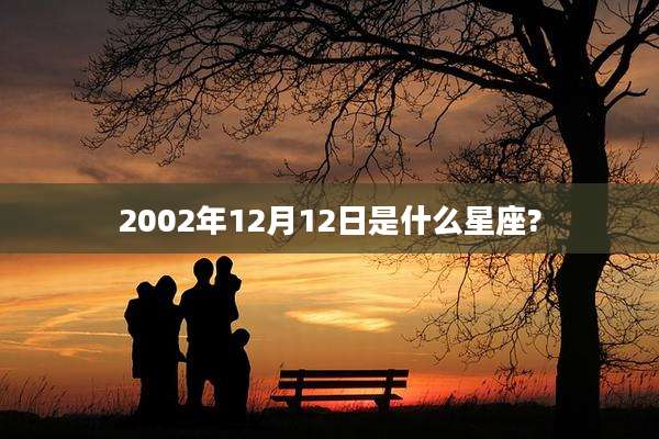 2002年12月12日是什么星座?
