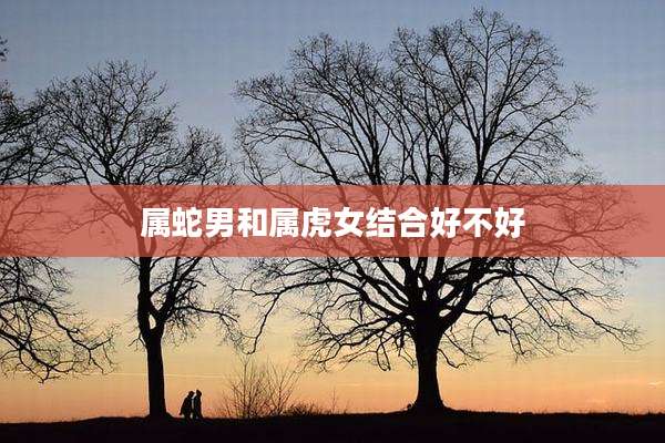 属蛇男和属虎女结合好不好