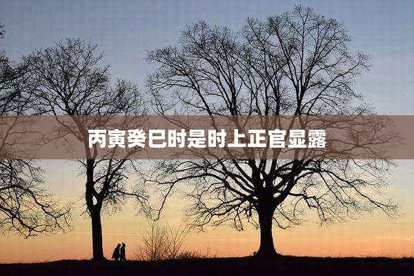 丙寅癸巳时是时上正官显露