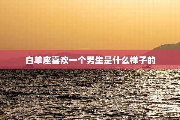 白羊座喜欢一个男生是什么样子的