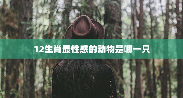 12生肖最性感的动物是哪一只